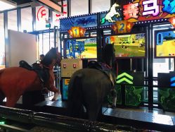 -嗨翻Hi-Fun竞技主题乐园·蹦床团建生日聚会(五棵松华熙店)