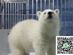 -国御温泉度假小镇