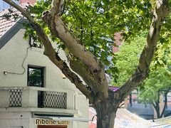 -弗兰克牛排西餐厅Ribone steak house(柠檬花园店)