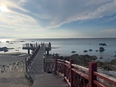 -养马岛旅游度假区
