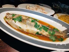 家常烧鲈鱼-前海沿·青岛菜(大拇指广场石老人店)