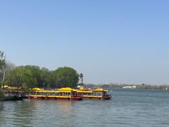 -溱湖国家湿地公园