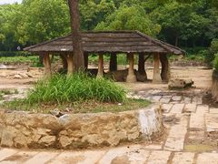 -杭州野生动物世界