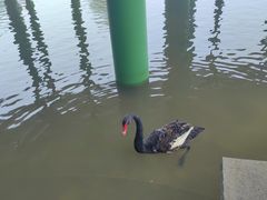 -水之梦(黄浦店)