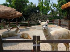 -珠海海泉湾神秘岛亲子乐园