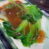 白菜白菜🥬我的最爱