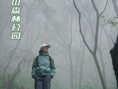 -王顺山国家森林公园