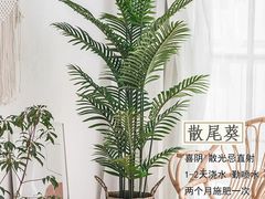 -李村大集