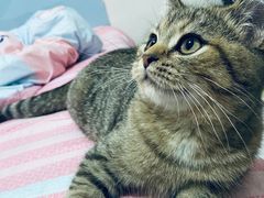 -太原东方动物医院(小店分院)