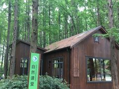 -同里国家湿地公园