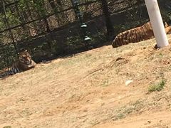 -秦皇岛野生动物园