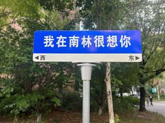 -南京林业大学(淮安校区)