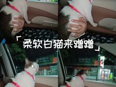 -深圳野生动物园