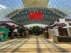 -拉萨圣地天堂洲际大饭店-自助餐厅