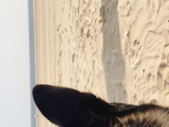 -青岛银沙滩