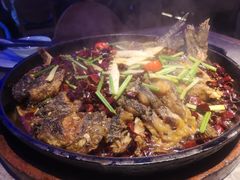 -老板恋上鱼(恒隆广场店)