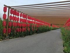 -中国天府农业博览园