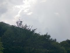 -大水川景区