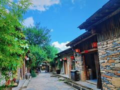 -牛背梁国家森林公园