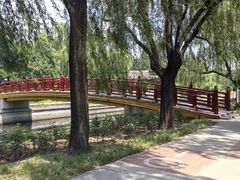 -元大都城垣遗址公园