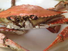 iphone_upload_pic-春妮海味饭店