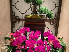 -山泉粤宴(广东大厦店)