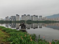 -飞来湖湿地公园