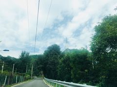 -大岭沟猕猴桃谷风景区