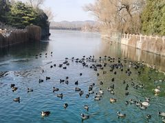 -颐和园