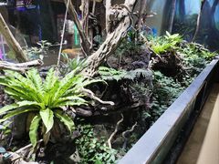 -萌宠奇缘(荣鼎店)