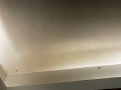 -龙川湾千岛湖国际垂钓中心