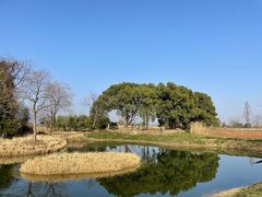-良渚古城遗址公园