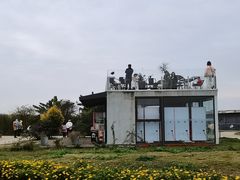 -空港花田景区