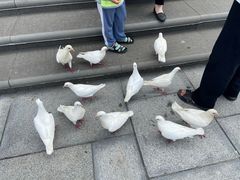 -烟台海昌鲸鲨海洋公园