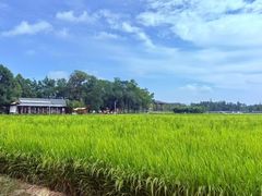 -中国天府农业博览园