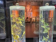 -广东中医药博物馆