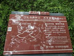 -九曜山