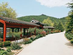 -威海华夏城景区