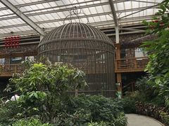 -南宫五洲植物乐园