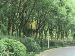 -成都南湖公园