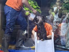 -太平洋海底世界