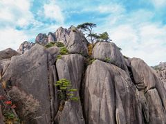 -黄山风景区