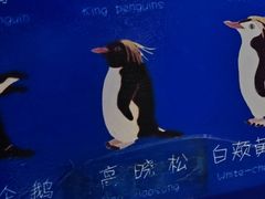 -泉城欧乐堡海洋极地世界