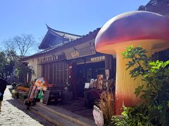 -菌自由丨野生菌火锅特色庭院餐厅(丽江古城店)