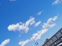 -星海湾跨海大桥