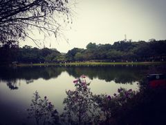 -东莞植物园