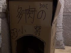 -逃脱反斗城沉浸剧情密室(北京路店)