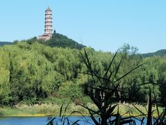 -北坞公园
