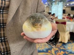 -味雅大酒店