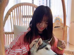 -Husky Go! 哈士奇体验馆·宠物咖啡厅狗咖